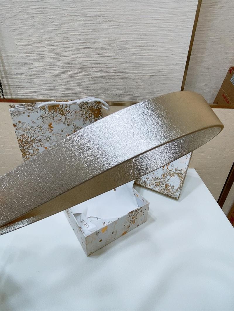 Dior 3.4 Belt Light Gold WDB40306