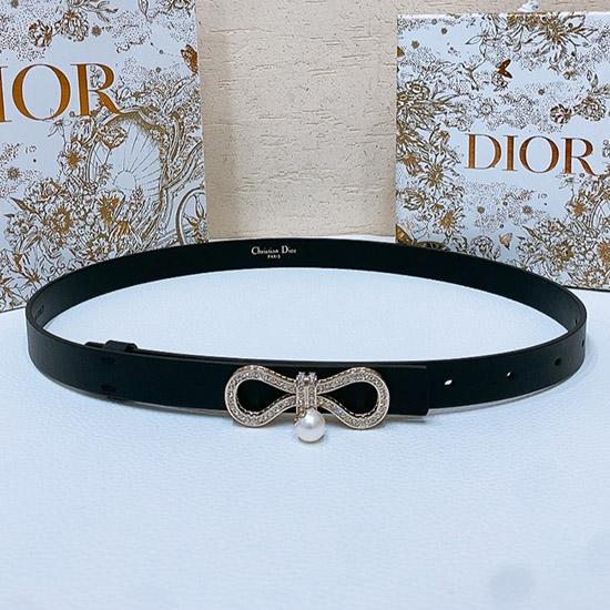 Dior Belt WDB40201