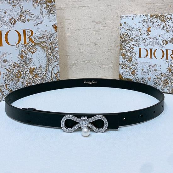 Dior Belt WDB40202