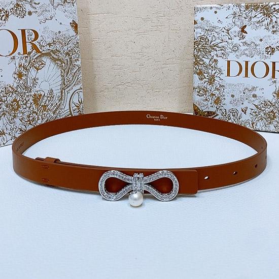 Dior Belt WDB40204