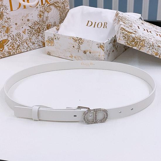 Dior Belt WDB40302