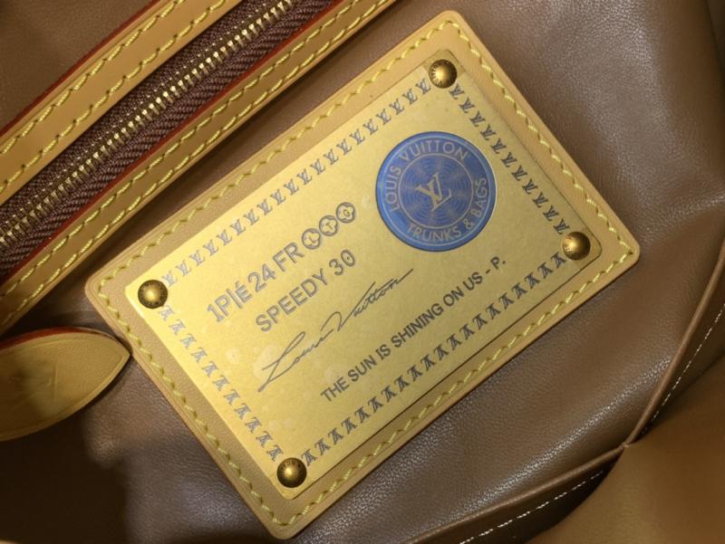 Louis Vuitton Speedy P9 Bandouliere 30 Frozen Lime M14064