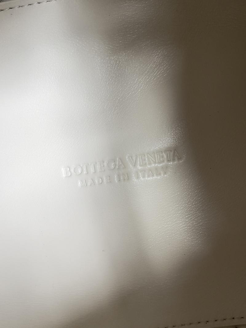 Bottega Veneta Small Parachute Sea salt 796569