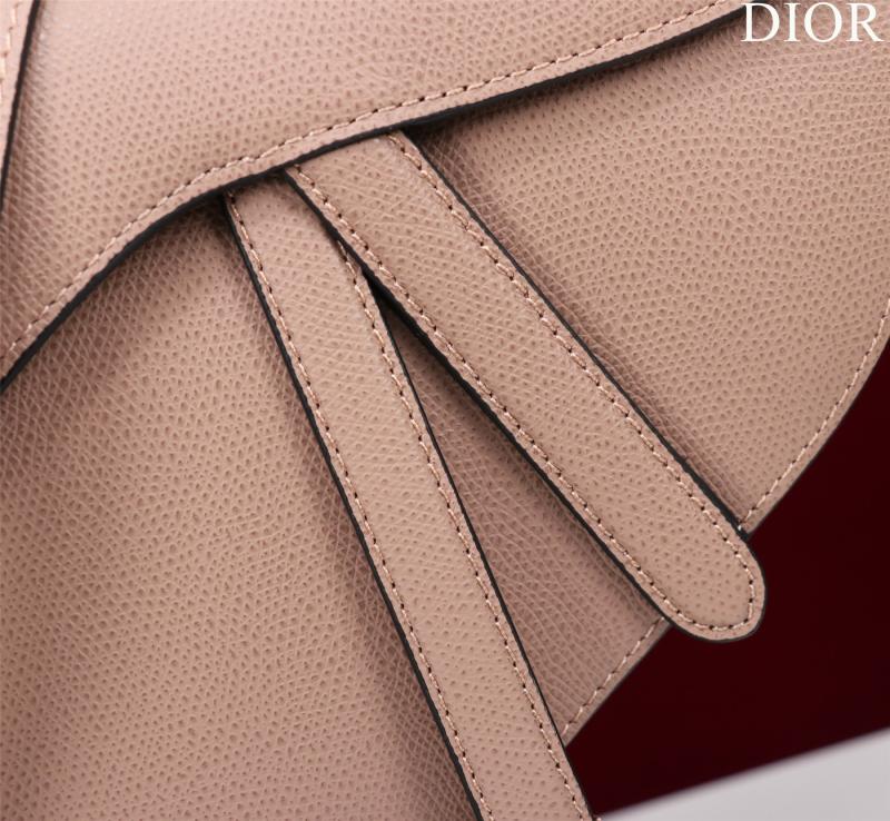 Dior Grained Calfskin Saddle Bag With Strap Nude Pink M0455