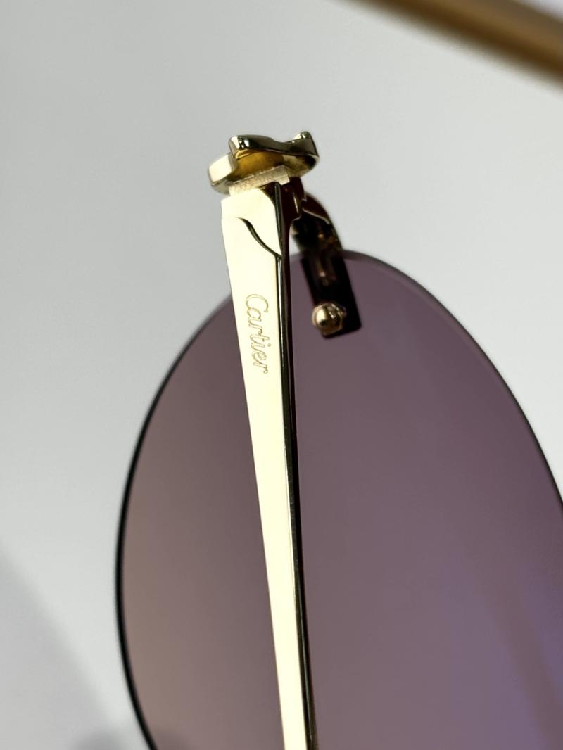 Cartier Sunglasses CT0504S
