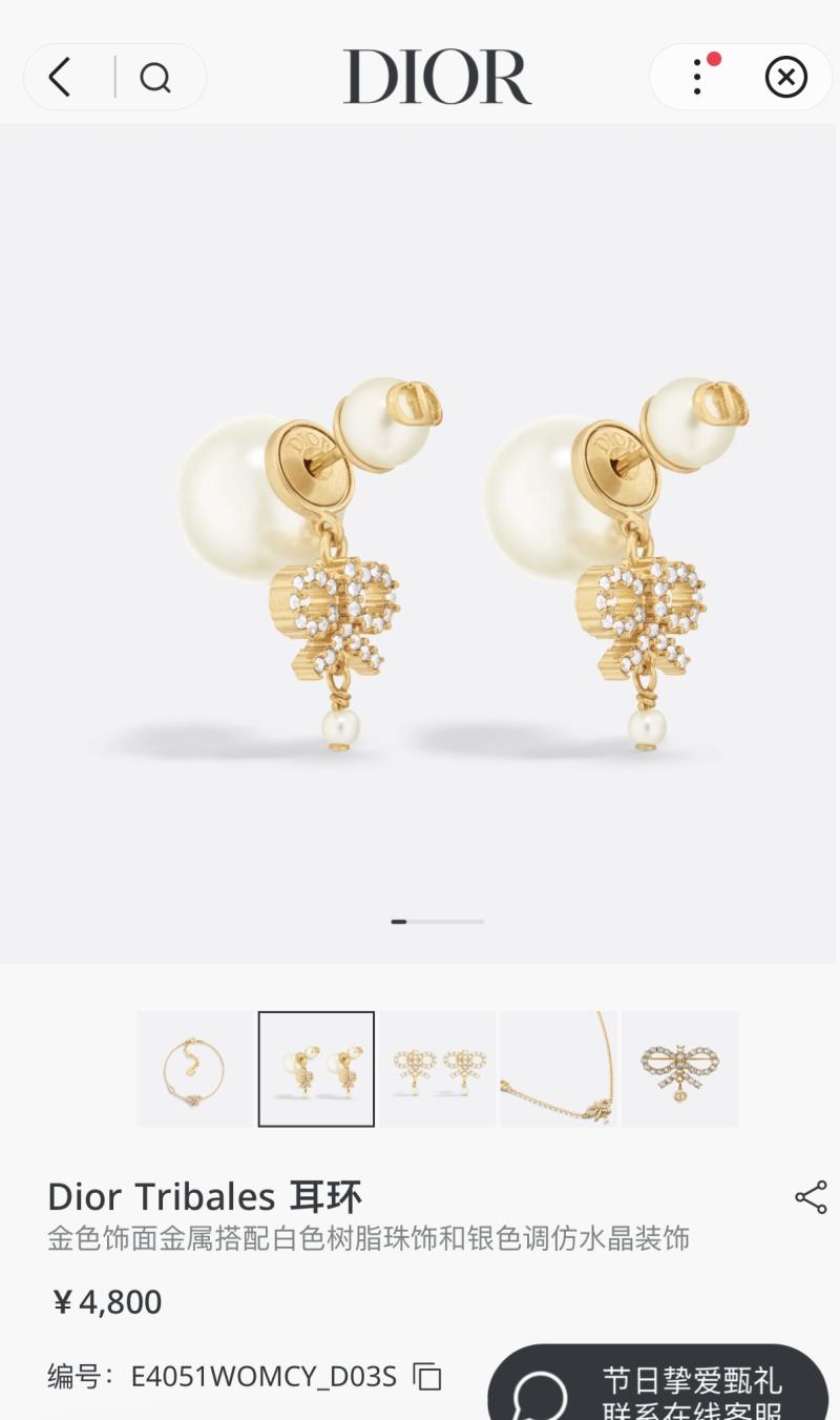 Dior Earrings YDE60901