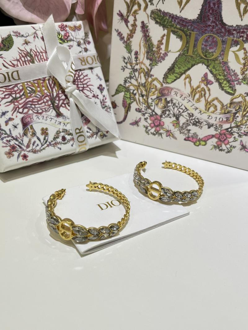 Dior Earrings YDE61802
