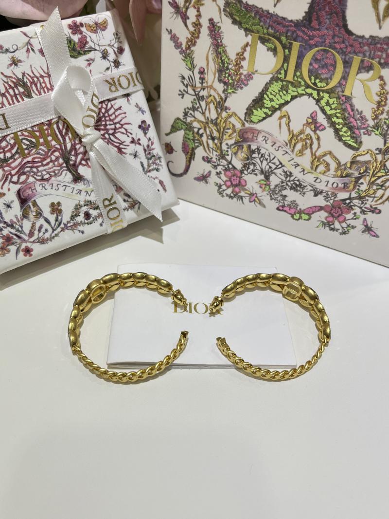 Dior Earrings YDE61802