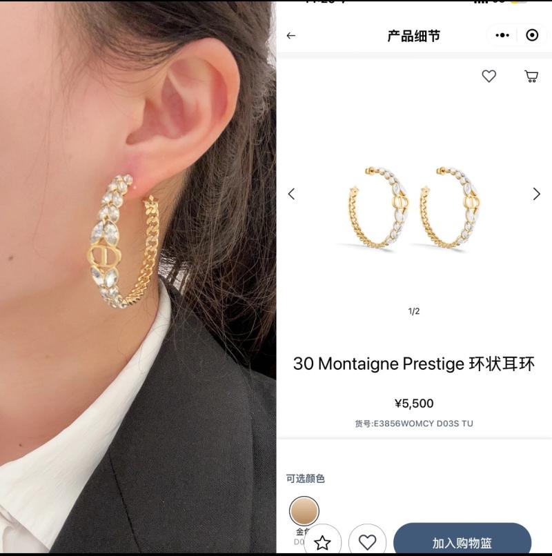 Dior Earrings YDE61802