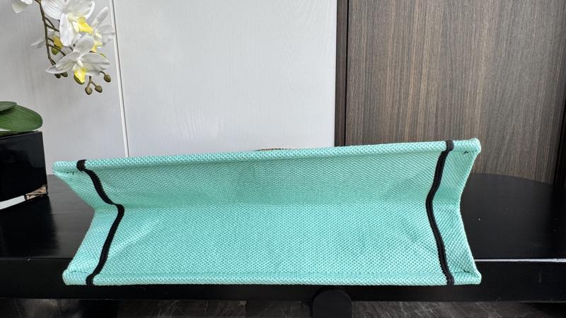 Dior Souvenir Medium Dior Book Tote M1296