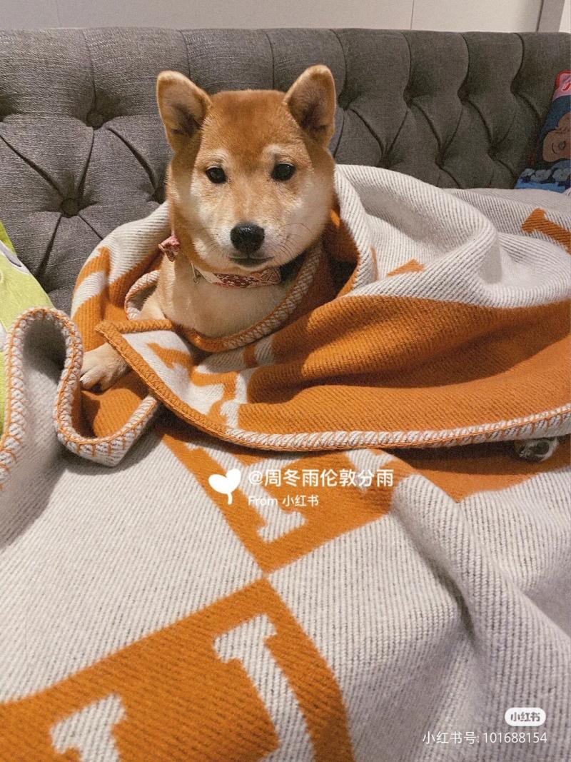 Hermes Throw Blanket HB91702