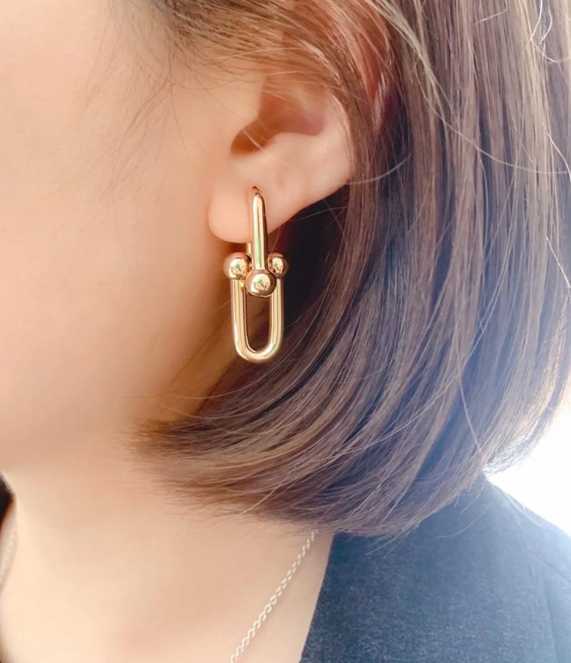 Tiffany Earrings TE90401