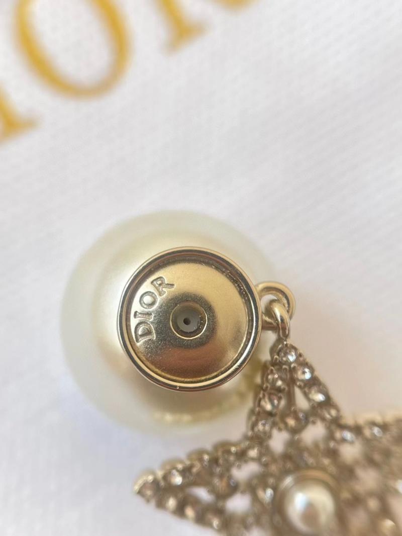 Dior Earrings YDE112301