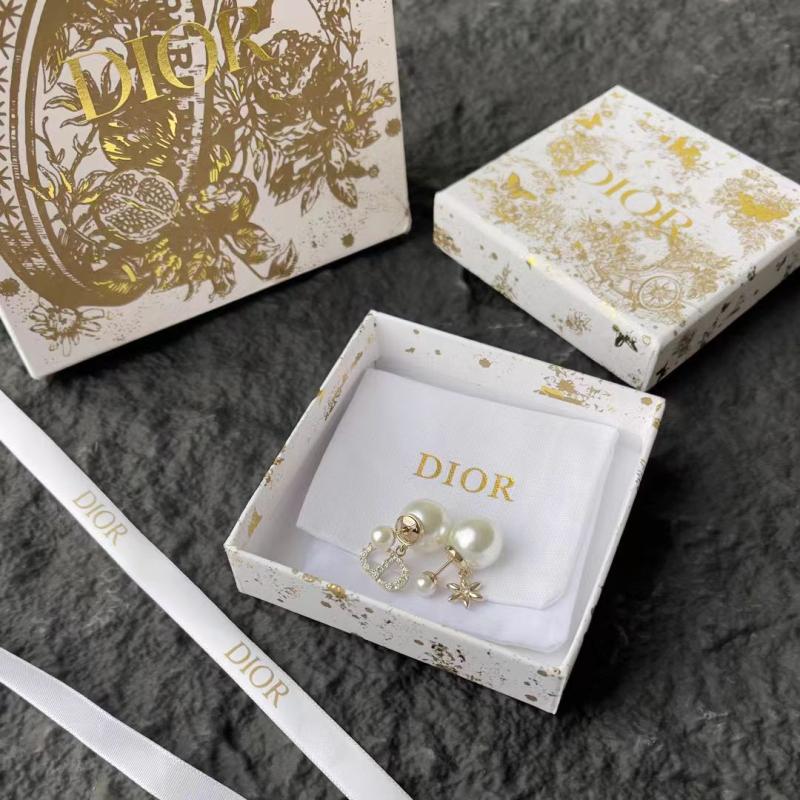 Dior Earrings YDE112303