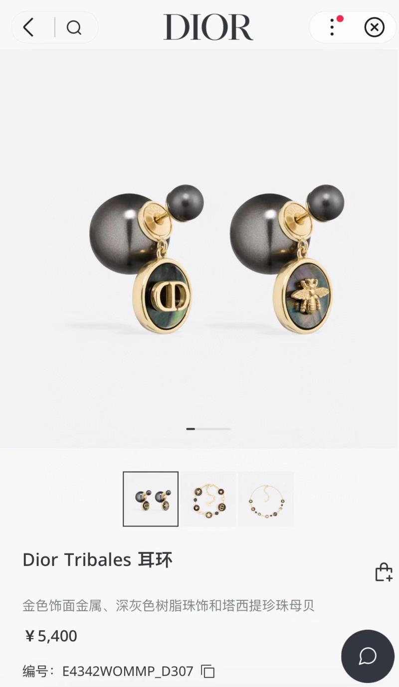 Dior Earrings YDE112305