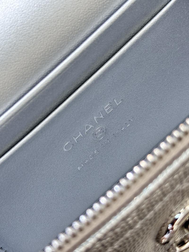 Chanel Long Vanity With Chain Silver AP4407