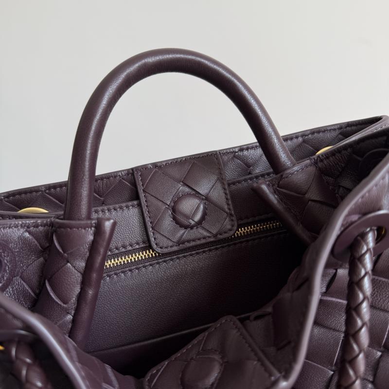 Bottega Veneta Small Andiamo Dark barolo 743568