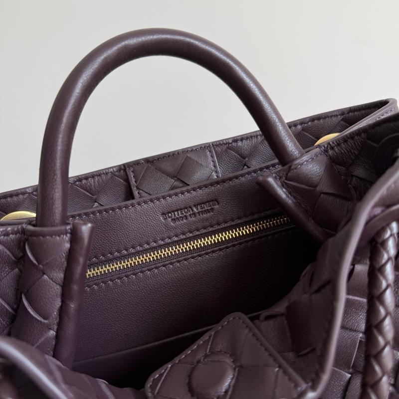 Bottega Veneta Small Andiamo Dark barolo 743568