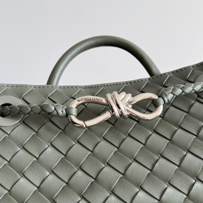 Bottega Veneta Small Andiamo Pickle 743568